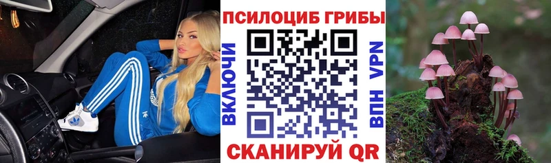 купить   Костомукша  кракен онион  Галлюциногенные грибы мицелий 